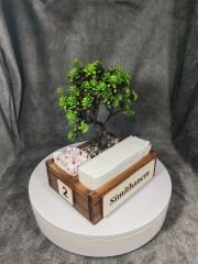 Cafe ve Restoran için Doğal Ahşap Menaj Takımı (Şekerlik, Peçetelik, Sosluk) - Model 7