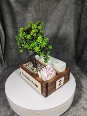 Cafe ve Restoran için Doğal Ahşap Menaj Takımı (Şekerlik, Peçetelik, Sosluk) - Model 7