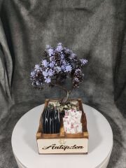 Cafe ve Restoran için Doğal Ahşap Menaj Takımı (Şekerlik, Peçetelik, Sosluk) - Model 5