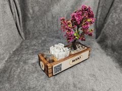 Cafe ve Restoran için Doğal Ahşap Menaj Takımı (Şekerlik, Peçetelik, Sosluk) - Model 4