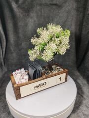 Cafe ve Restoran için Doğal Ahşap Menaj Takımı (Şekerlik, Peçetelik, Sosluk) - Model 4