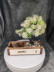 Cafe ve Restoran için Doğal Ahşap Menaj Takımı (Şekerlik, Peçetelik, Sosluk) - Model 4